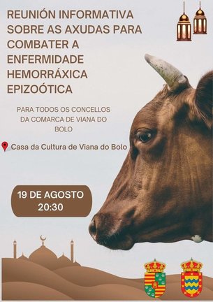 20240819 Reunión informativa enfermidade hemorráxica vacas en Viana do Bolo