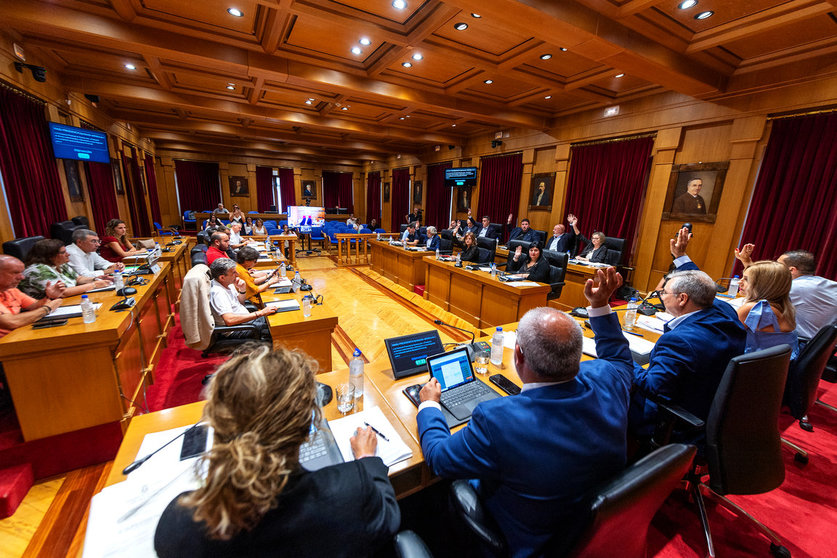 Pleno ordinario da Deputación Ourense correspondente ó mes de xullo. Asisten Luís Menor Pérez (Presidente Deputación); Marta Nóvoa Iglesias (VicePresidenta 1ª); Cesar Fernández Gil (VicePresidente 2º); Placido Álvarez Dobaño (VicePresidente 3º); Rosendo Fernández; Jorge Pumar Tesouro (Deputado PPOU); José Miguel Pérez Blecua (Deputado PPOU); Manuel Seoane Rodríguez (Deputado PPOU); Patricia Torres Madureira (Deputado PPOU); María del Carmen González Quintela  (Deputada PPOU); José María Lago Cabo (Deputado PPOU); María Teresa Barge Bello (Deputada PPOU); José Ignacio Gómez Pérez (Deputado PSOE); Elvira Lama Fernández (Deputado PSOE); Diego Fernández Nogueira (Deputado PSOE); Susana Rodríguez Estévez (Deputado PSOE); Marina Vaz Quintillán (Deputada PSOE); Álvaro Vila Araujo (Deputado PSOE); Aurentino Alonso Araujo (Deputado PSOE); Armando Ojea Bouzo (Deputado DO); Gonzalo Pérez Jácome (Deputado DO); Rafael Martínez Cachafeiro (Deputado DO); Bernardo Varela López (Deputado BNG), Xosé Manuel Puga González (Deputado BNG), María José Mangana Guede (Deputada BNG), Mónica Legaspi (Interventora Deputación Ourense) e Juan Marquina (Secretario Deputación Ourense).