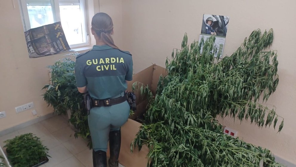 Guardia Civil de Monterrei durante incautación de marihuana.