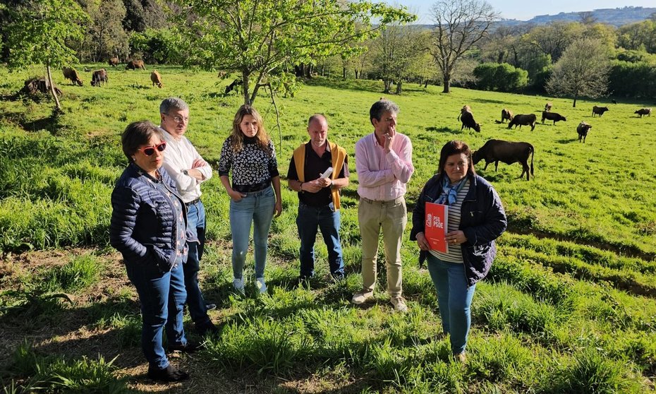 Diputados socialistas de Ourense visitan granjas afectadas por la EHE en Vilardevós.