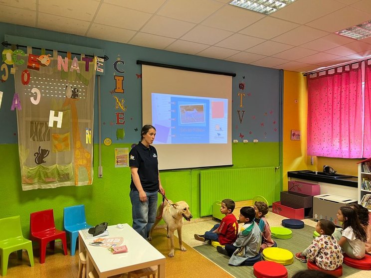 CEIP O Castiñeiro de Laza_biblioteca escolar (4)