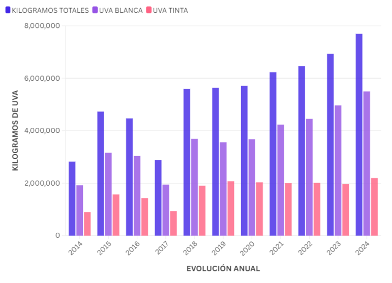 La Denominación de Origen Monterrei se sitúa cerca de los 8.000.000 de kilogramos.